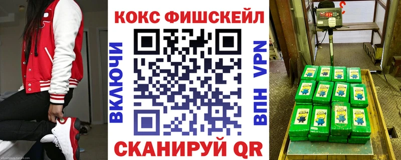 Купить  Ленинградская  Cocaine Fish Scale 