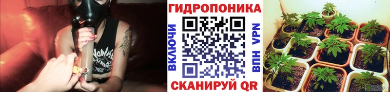 Купить закладки Ленинградская Бошки Шишки семена